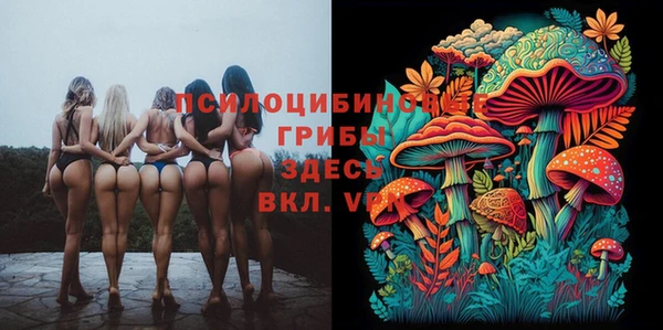 шишки Наволоки