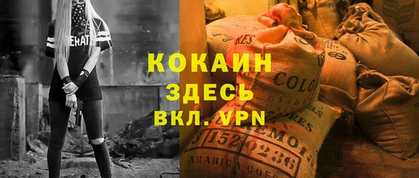 шишки Наволоки