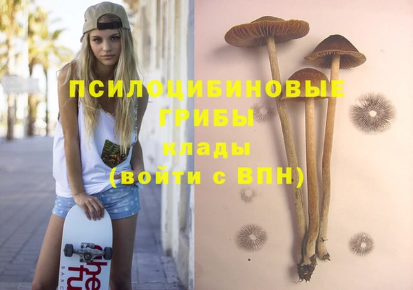 шишки Наволоки