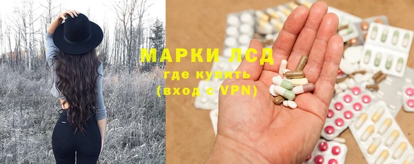 шишки Наволоки