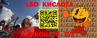 прущие грибы Гатчина