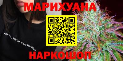 прущие грибы Гатчина