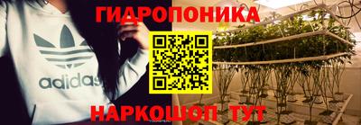 прущие грибы Гатчина