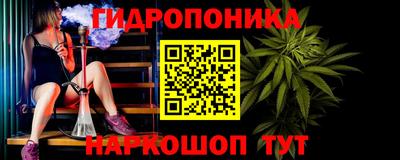 прущие грибы Гатчина