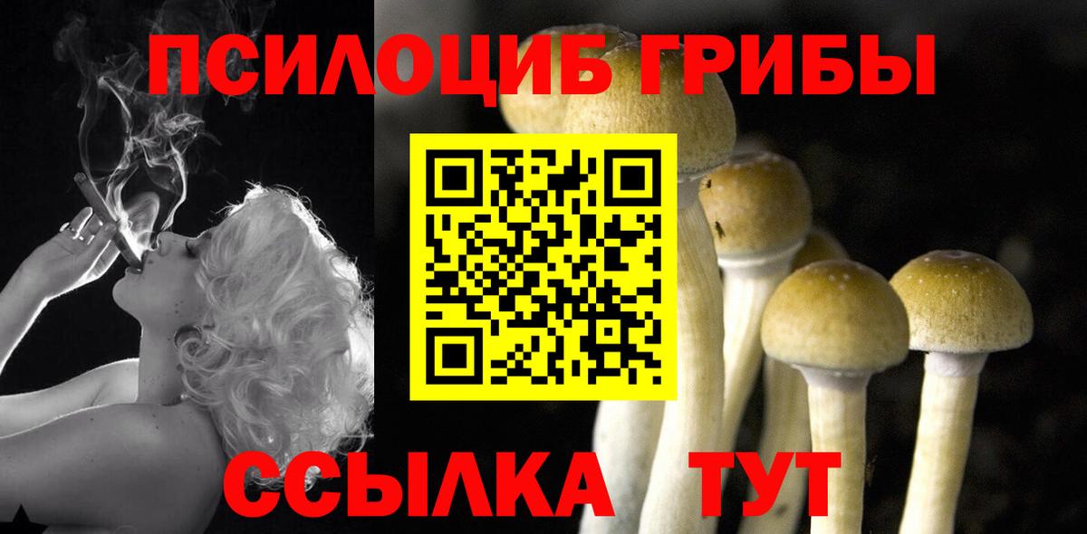 Псилоцибиновые грибы мухоморы Казань